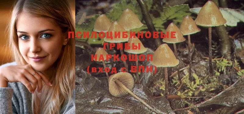 Галлюциногенные грибы MAGIC MUSHROOMS  Беслан 